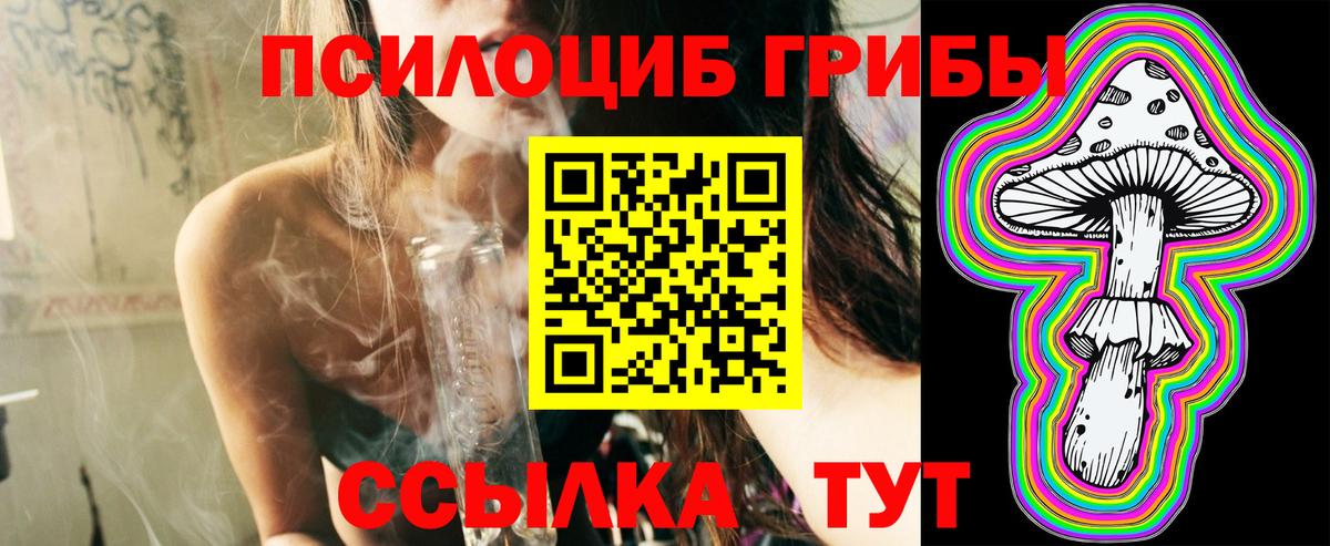 Псилоцибиновые грибы прущие грибы  Вход с VPN  купить закладку  Великий Устюг 